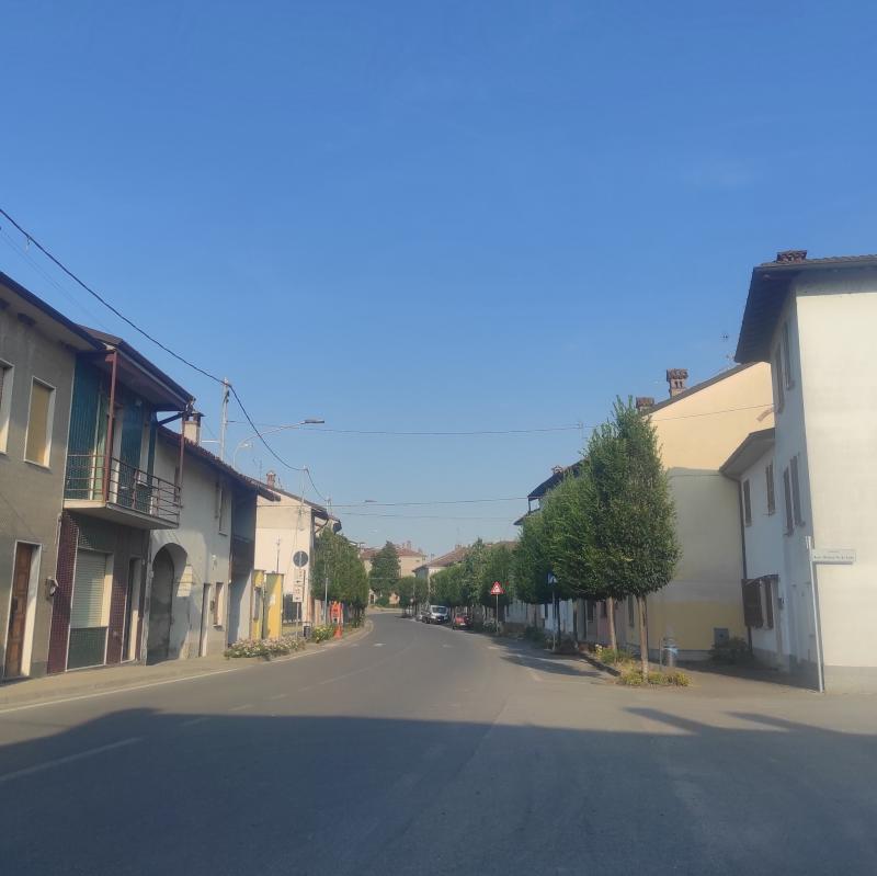 Fotosegnalazione di Zerbo