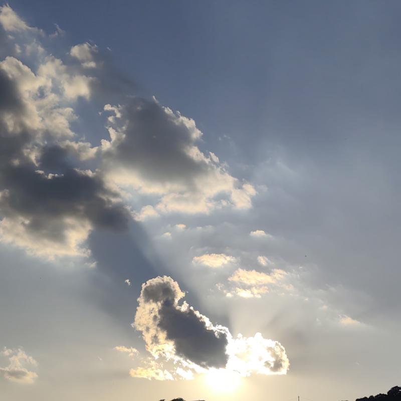 Fotosegnalazione di Nissoria