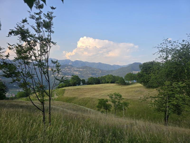 Cartolina da Bedulita 18 Giugno 2026