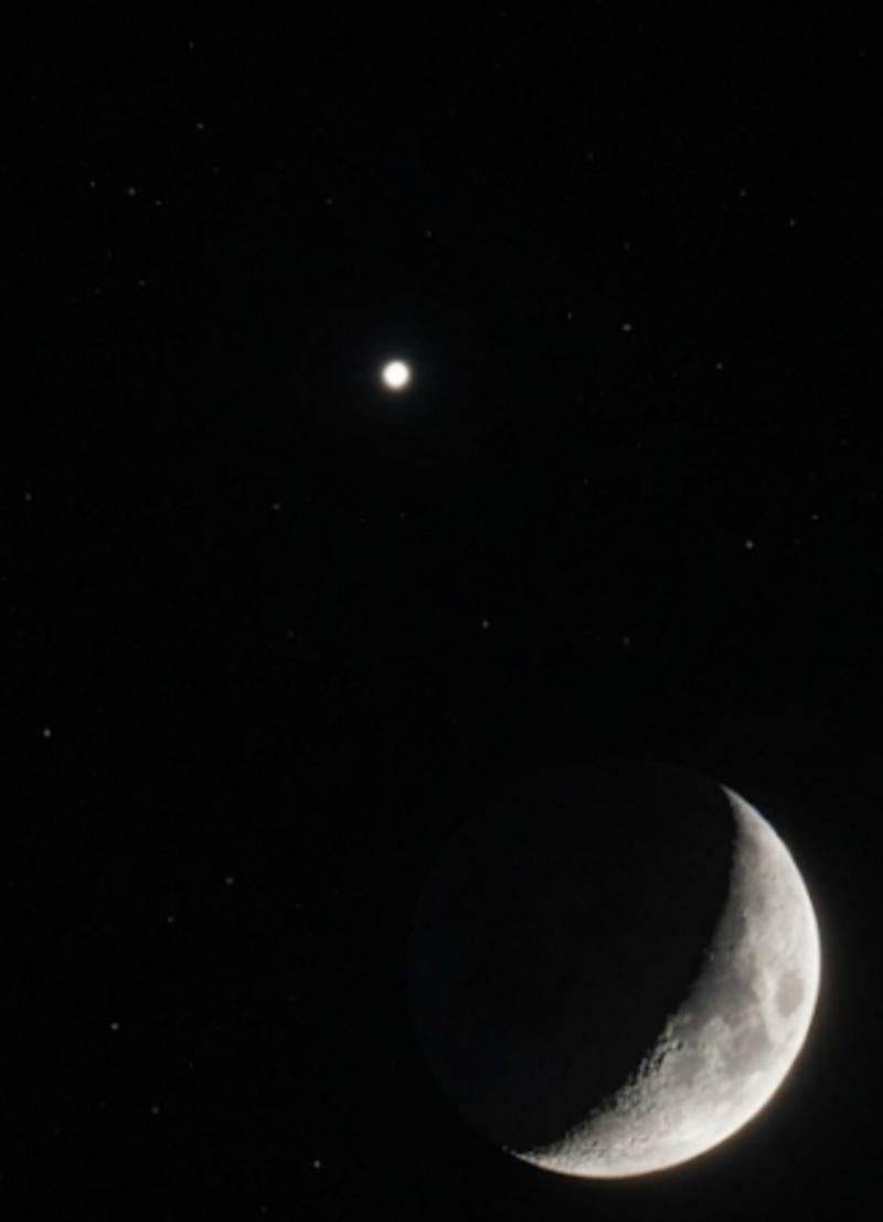 il bacio di venere