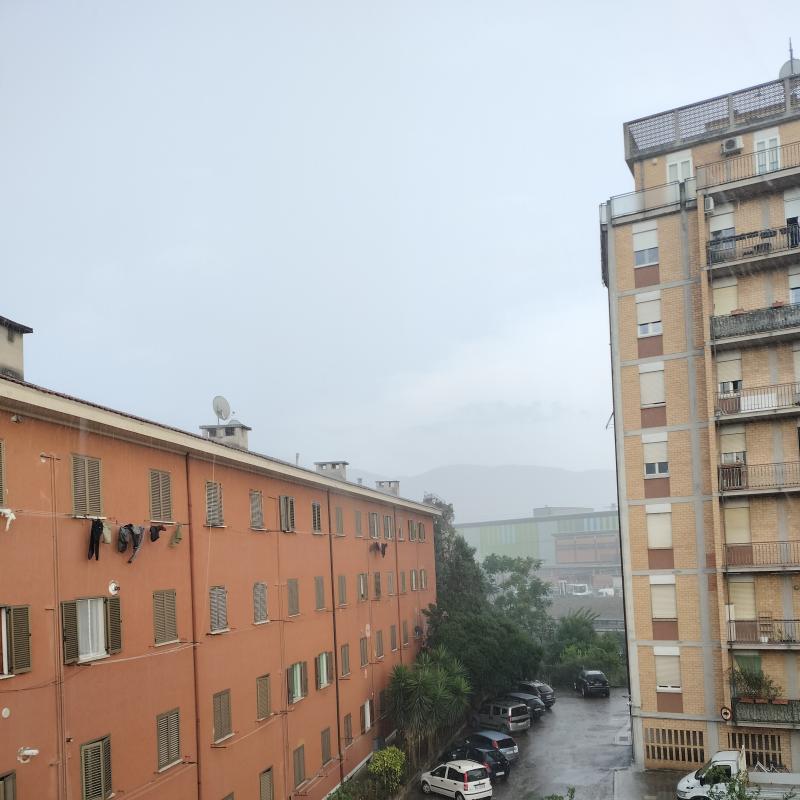 Terni