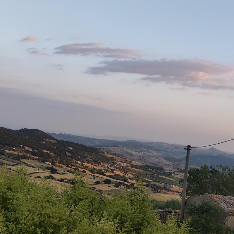 Fotosegnalazione di Nissoria