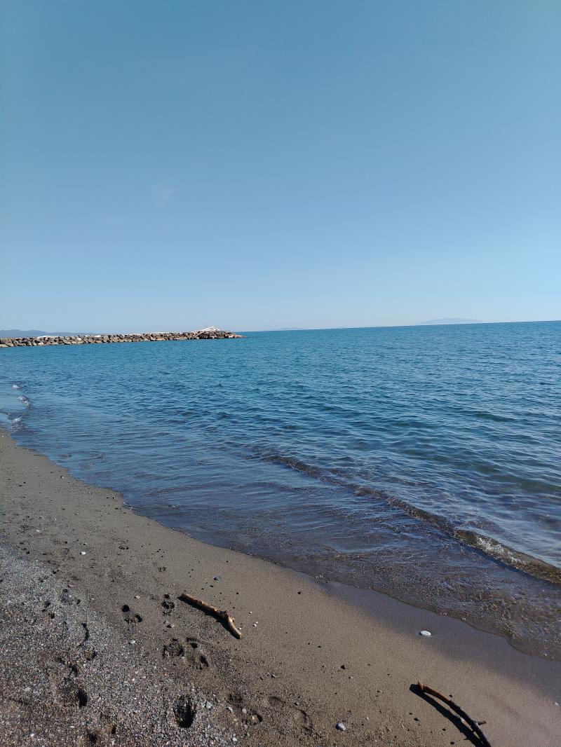 18 luglio 2026