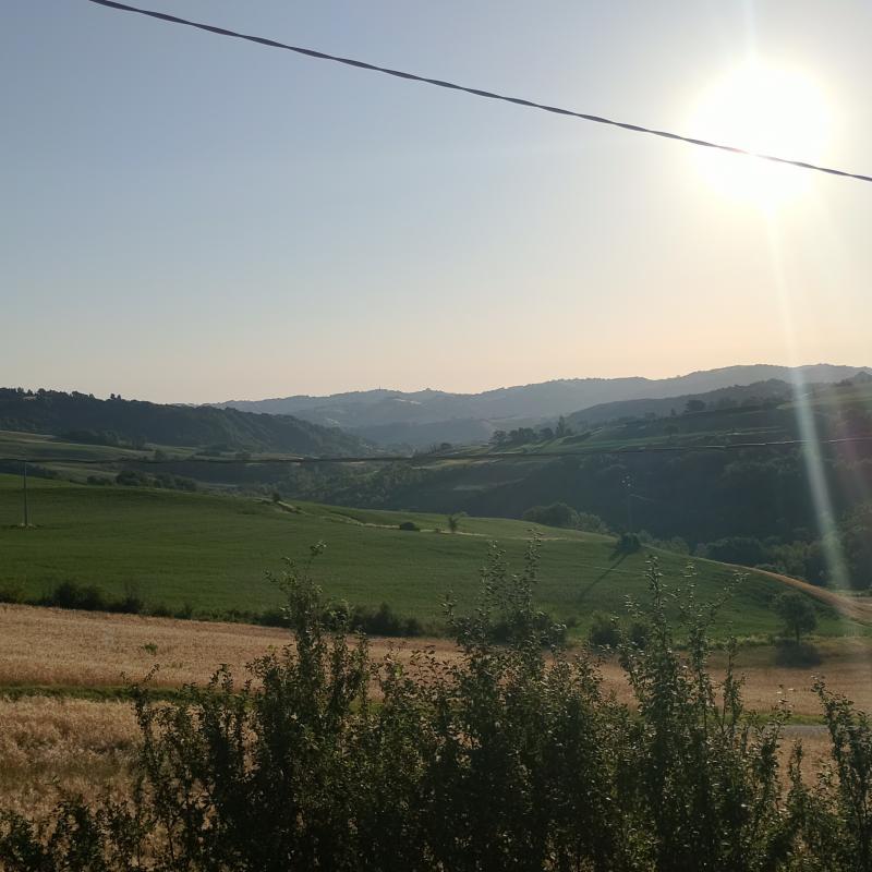 In attesa della mietitura