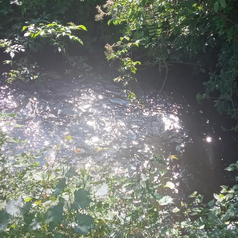 riflessisull'acqua