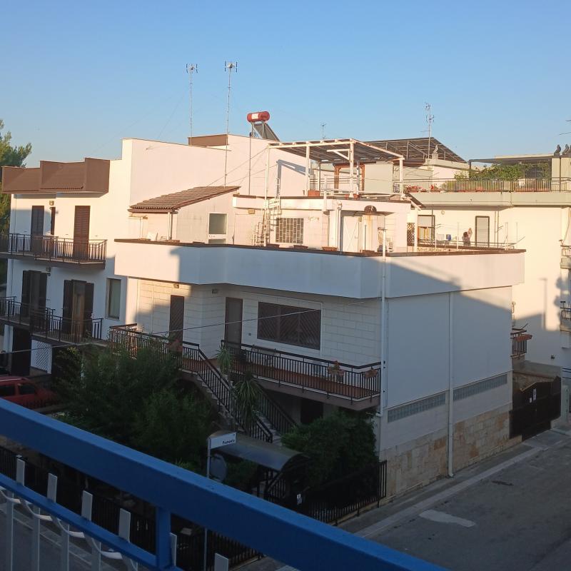 Fotosegnalazione di Palo del colle