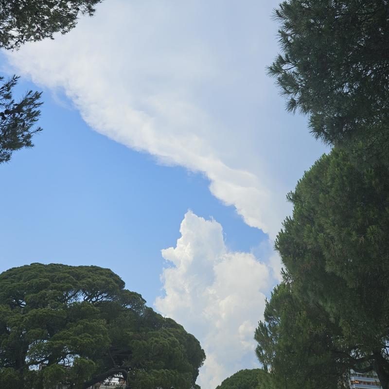 Fotosegnalazione di Rapallo