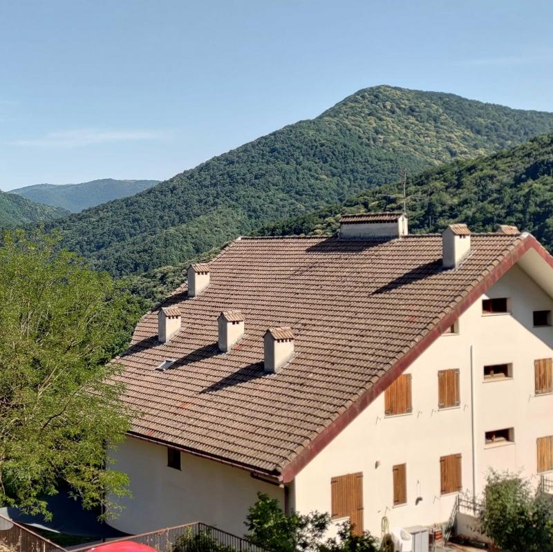Verdina