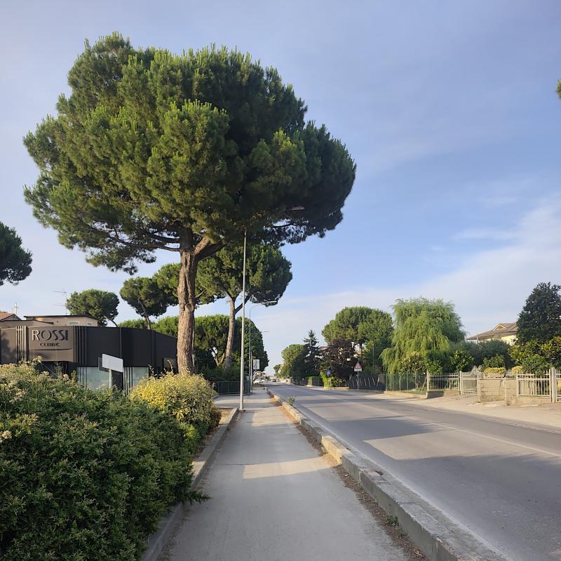 Fotosegnalazione di Bagnarola