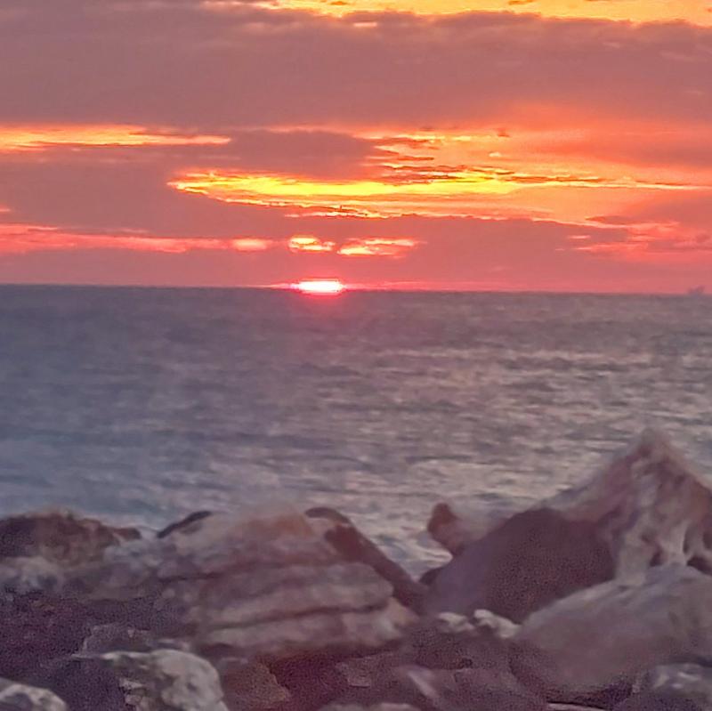 alba