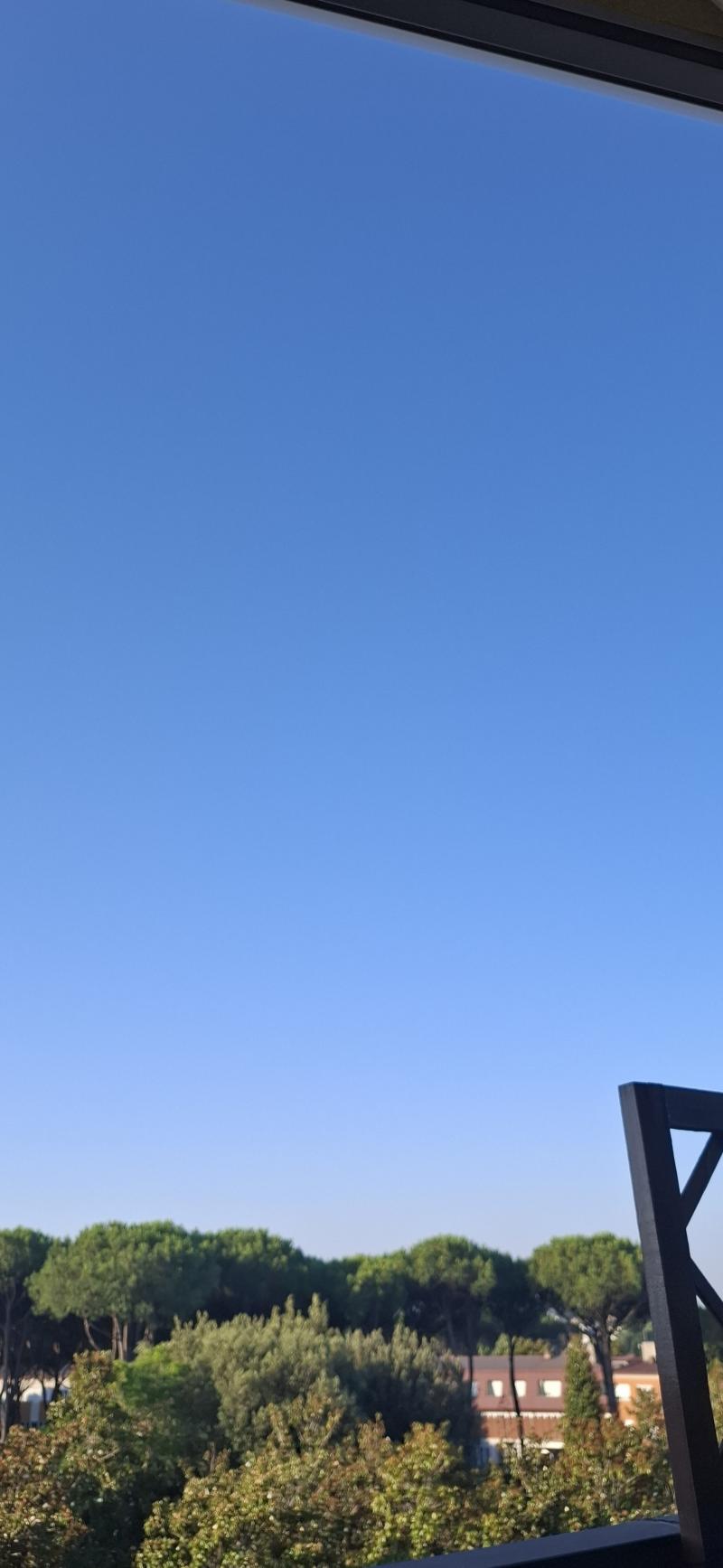 cielo terso
