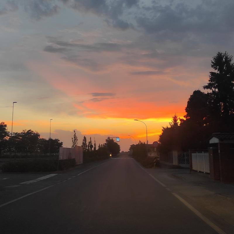 Fotosegnalazione di Zerbo