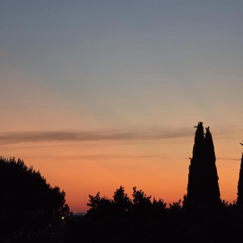 Fotosegnalazione di Arezzo staggiano - la pace