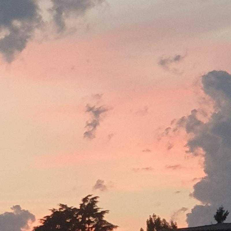 Fotosegnalazione di Gallarate
