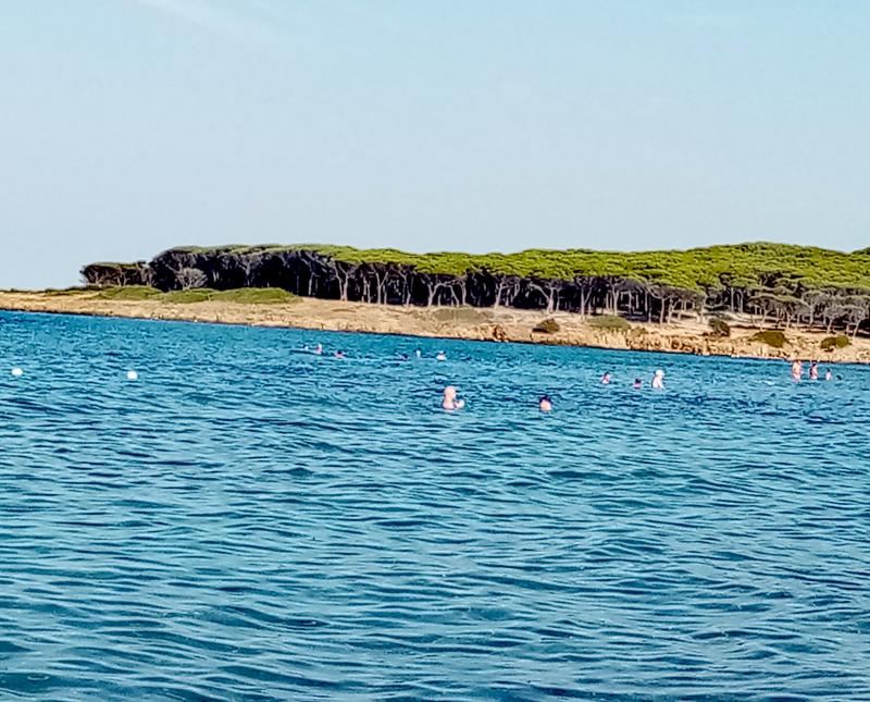 baia dei pini