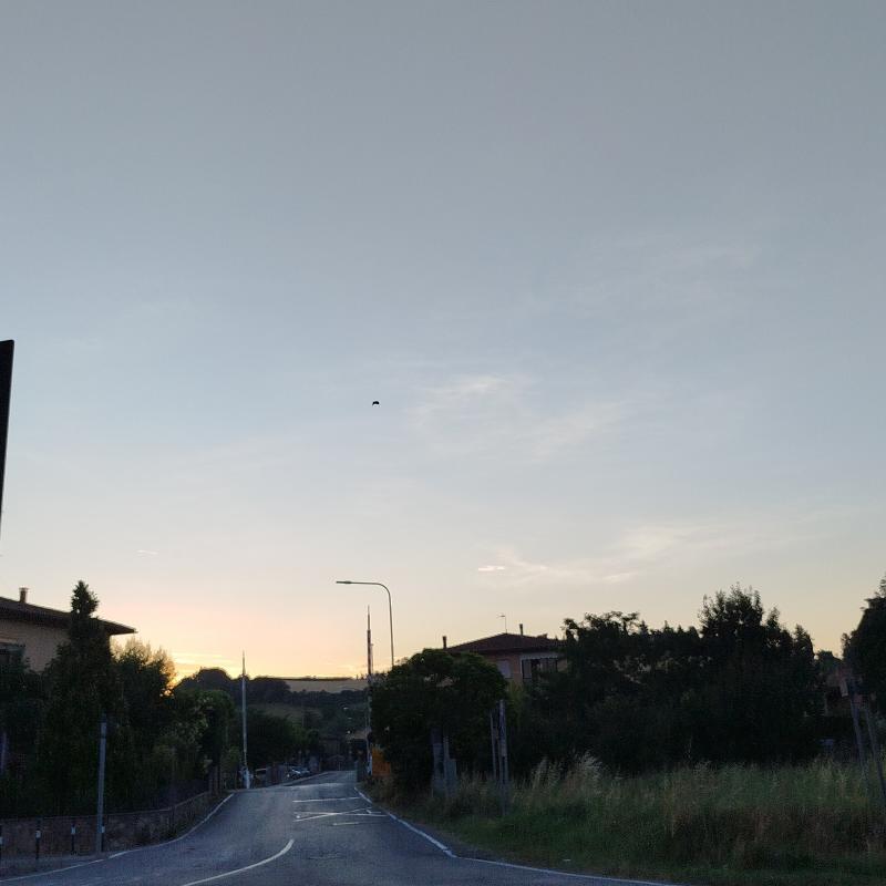 Fotosegnalazione di Buonconvento