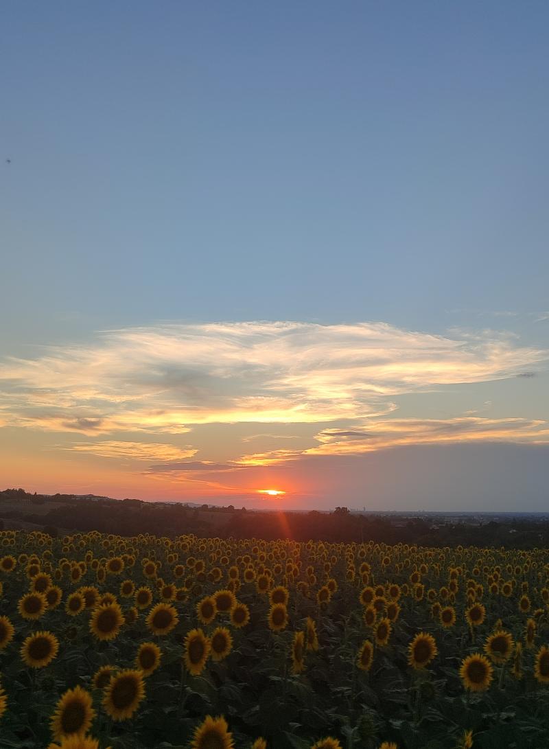 tramonto tra le nuvole