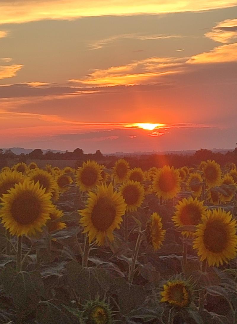i bellissimi colori del tramonto