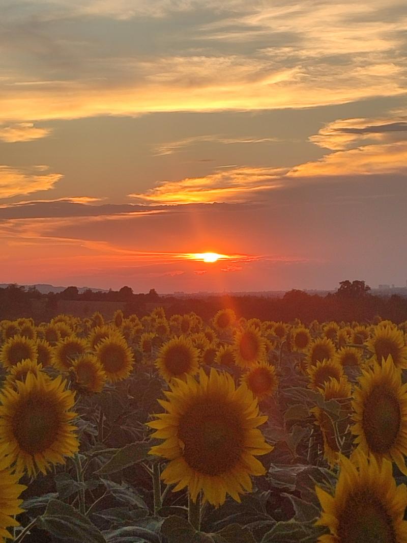 bellissimo tramonto