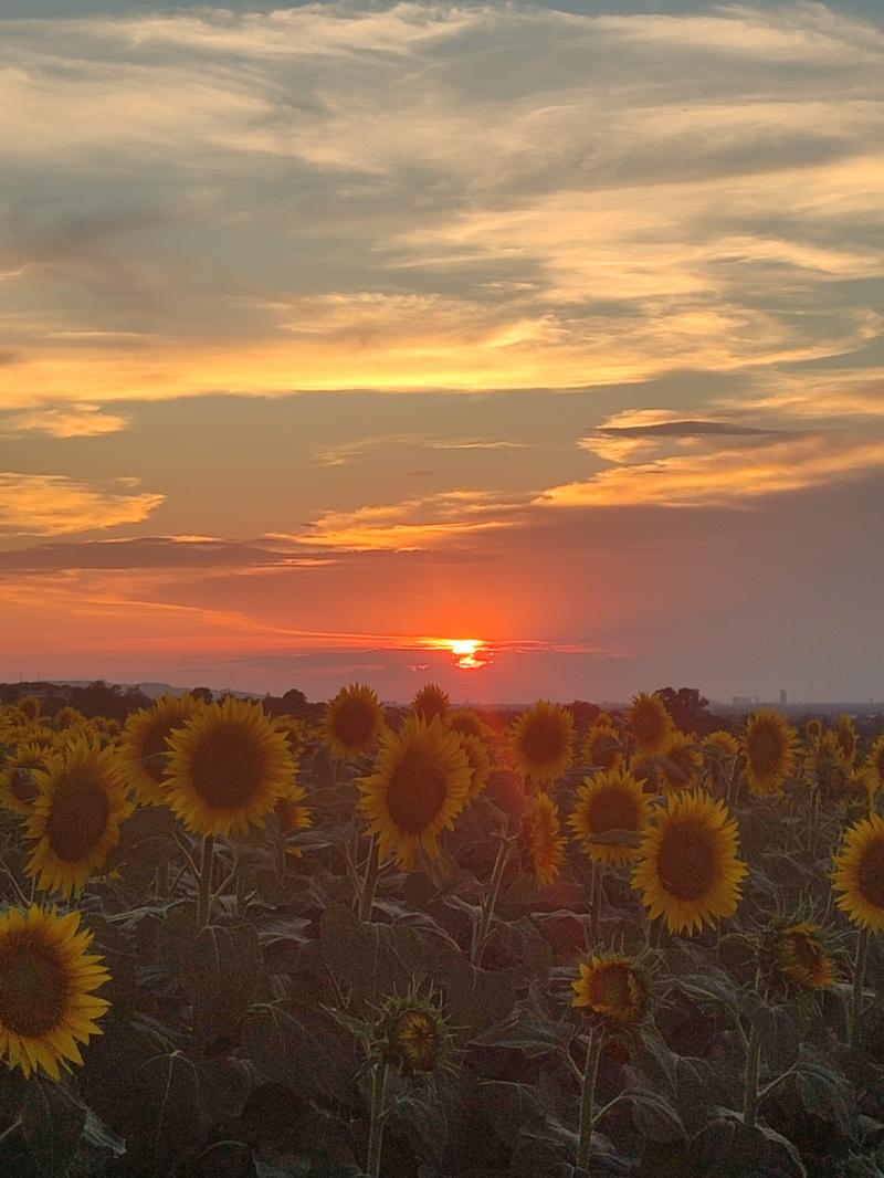 bellissimo tramonto
