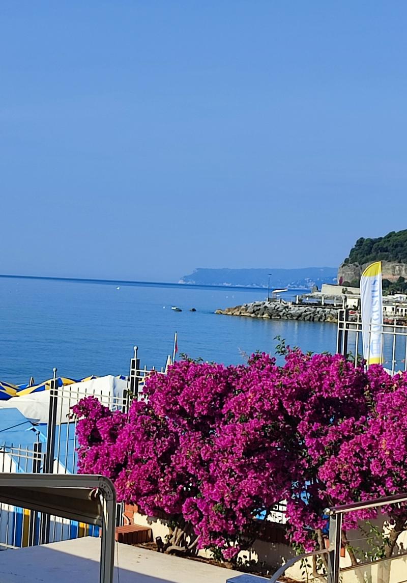 mare piatto
