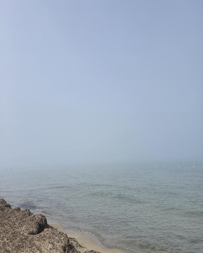 il fenomeno 'lupa di mare'