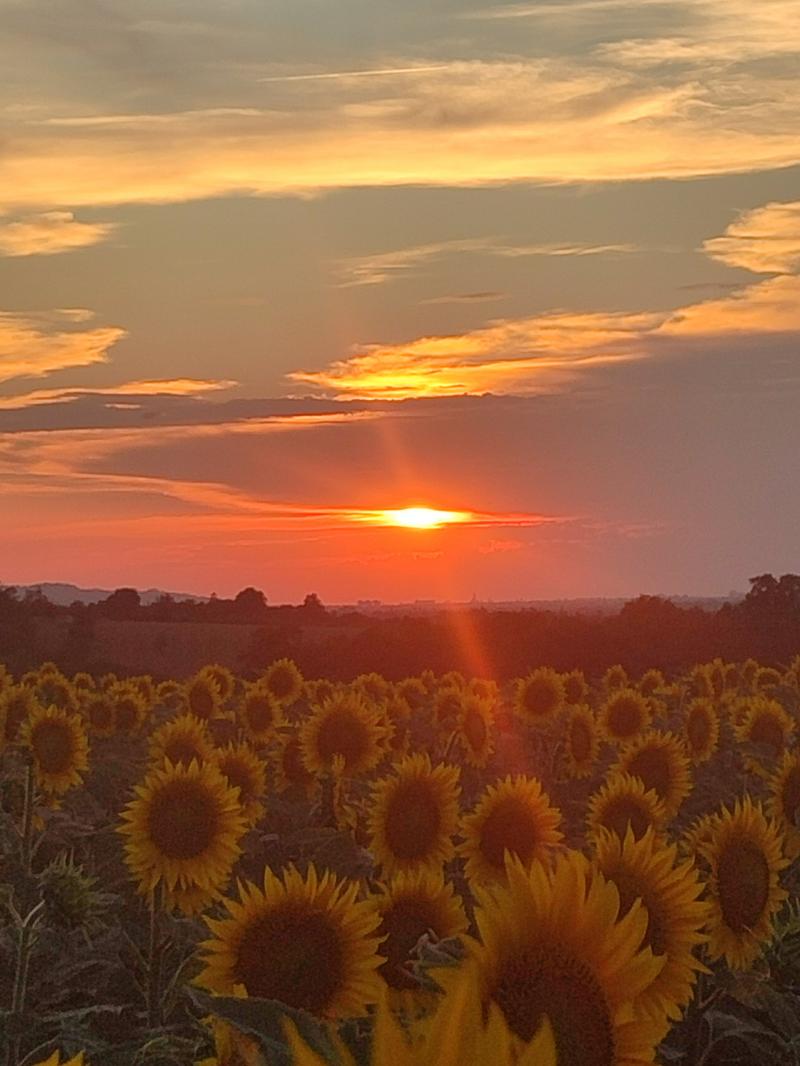 i bellissimi colori del tramonto