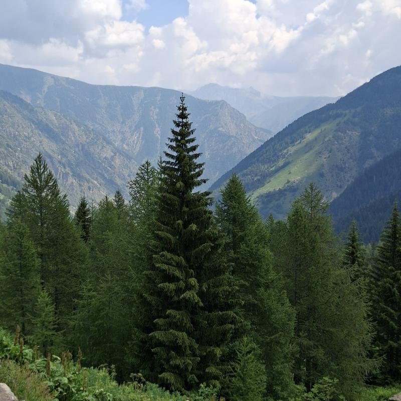 Rifugio del laus bagni di Vinadio