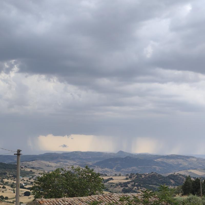 Fotosegnalazione di Nissoria