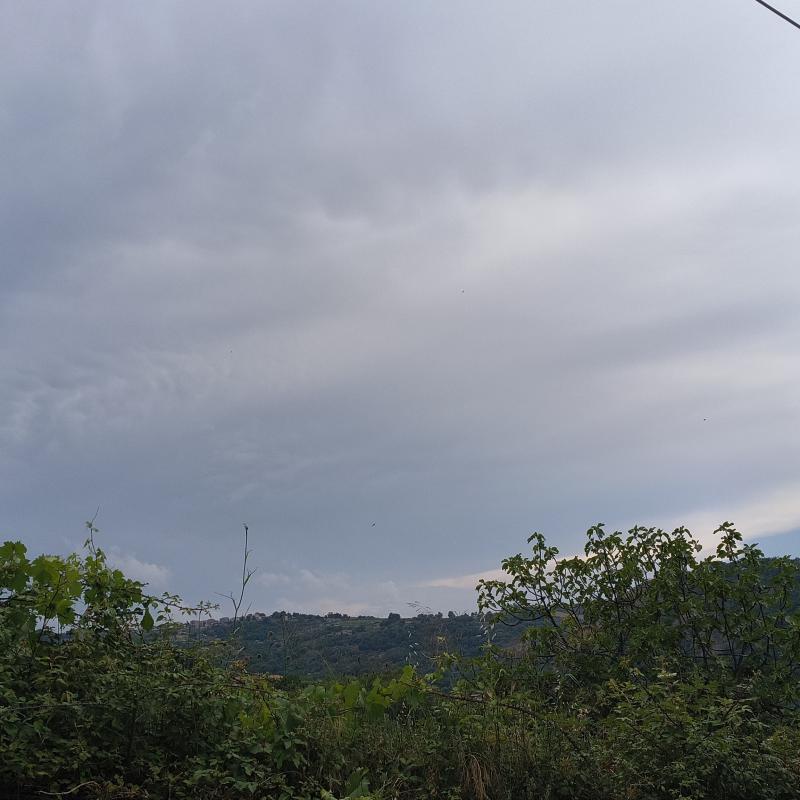 Basico' - parzialmente nuvoloso