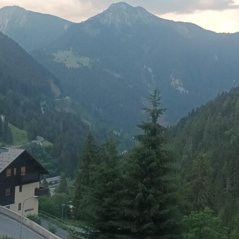 Fotosegnalazione di Cambrembo