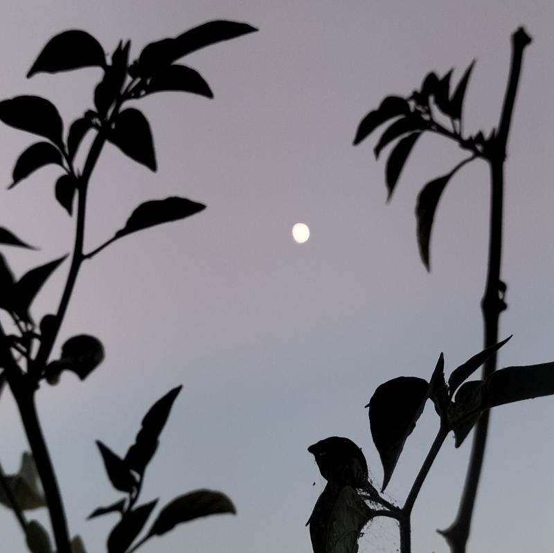 Fotosegnalazione di Vasto