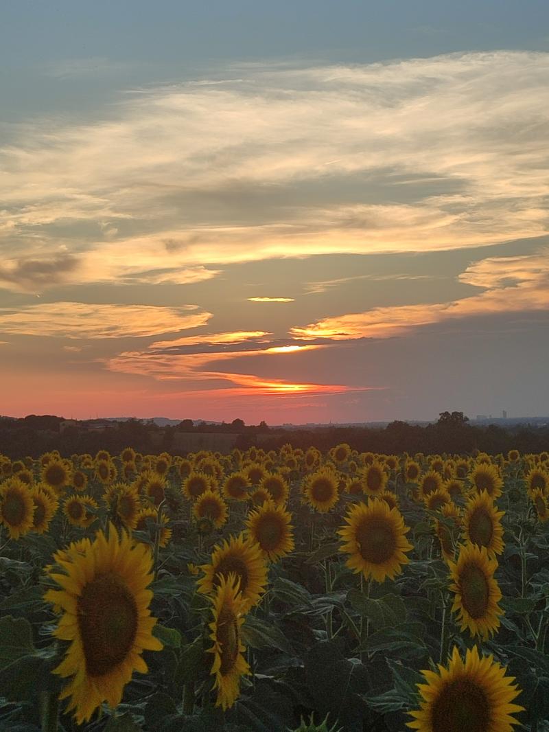 tramonto tra le nuvole
