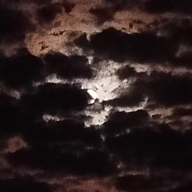 Luna che gioca a nascondino. foto di sergio
