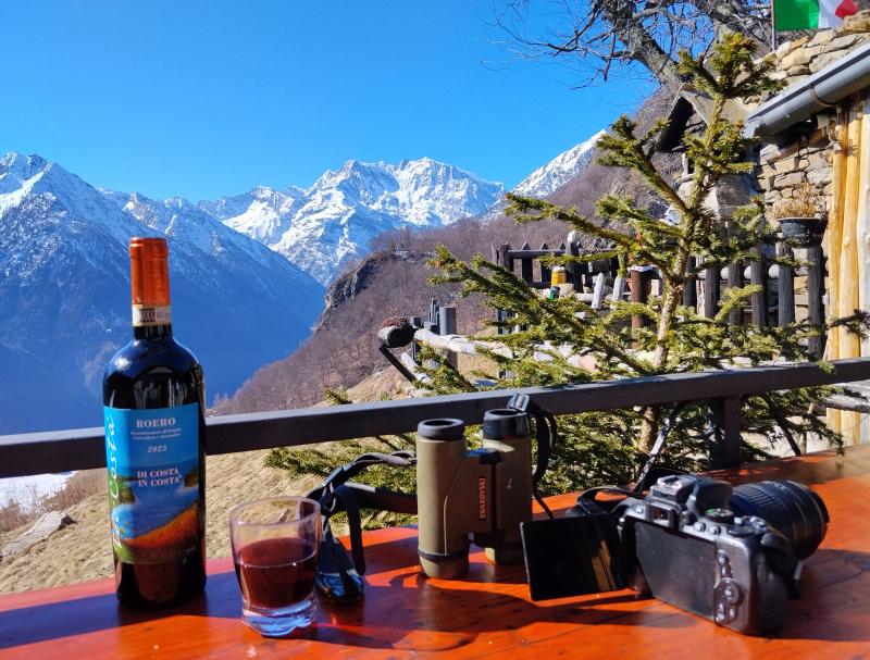 il rosa vista dall' alpe briga