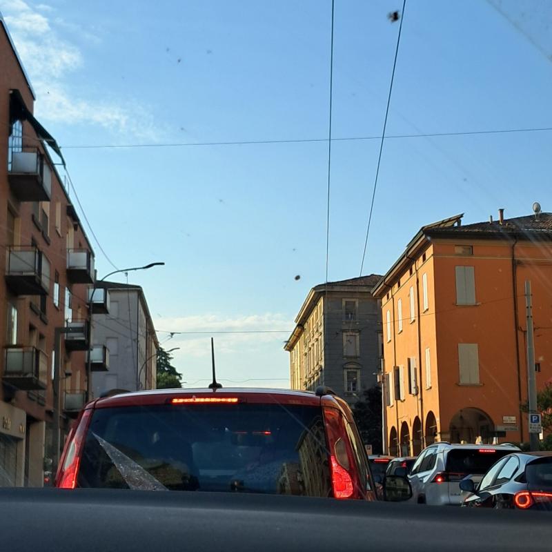 Bologna via murri