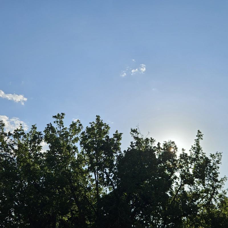 Il cielo e' sempre piu' blu