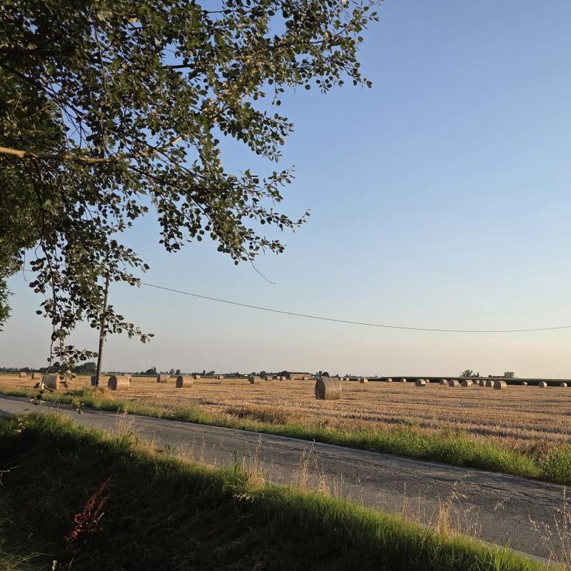 Fotosegnalazione di Ferrara nord-ovest