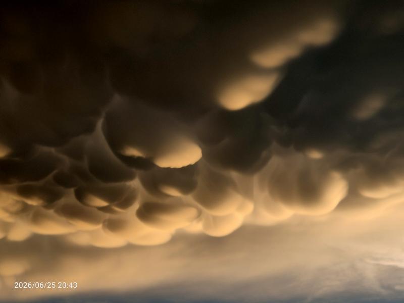 mammatus