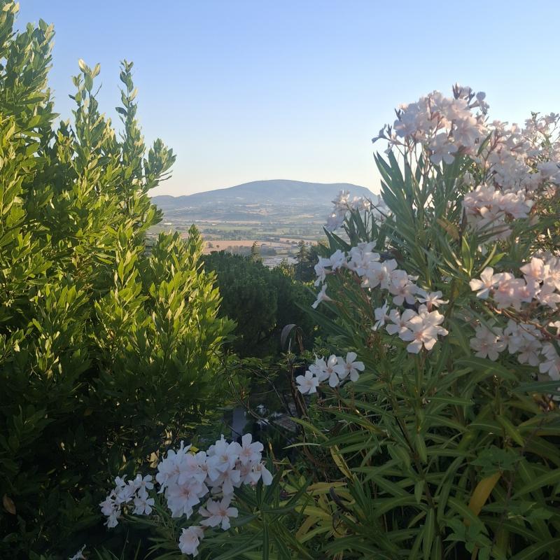Fotosegnalazione di Loreto