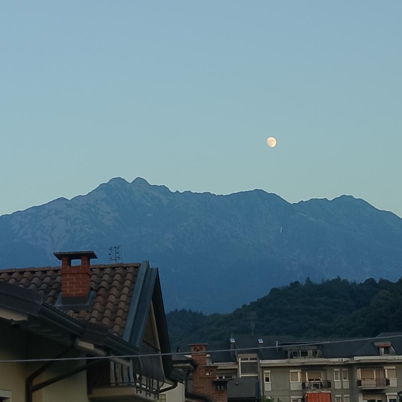sulla bisalta