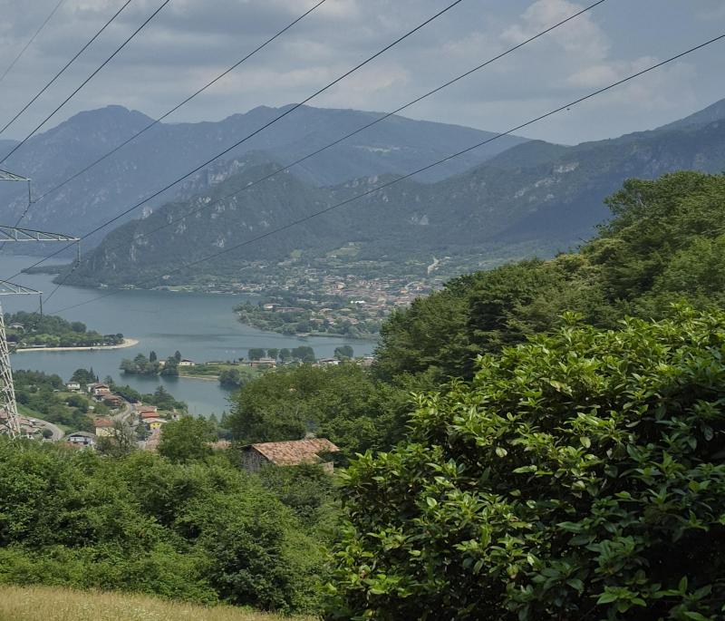 dalla sesa