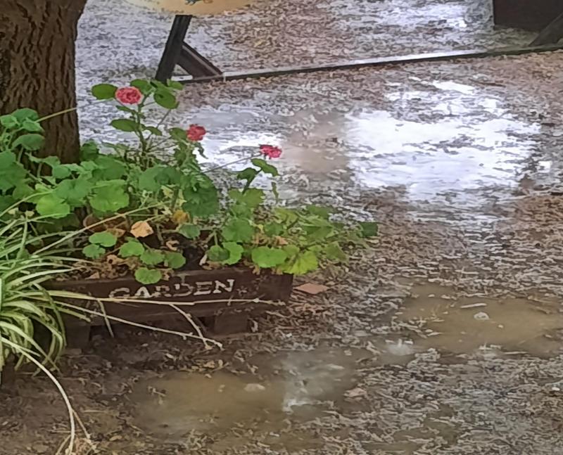26.6.2026 piove