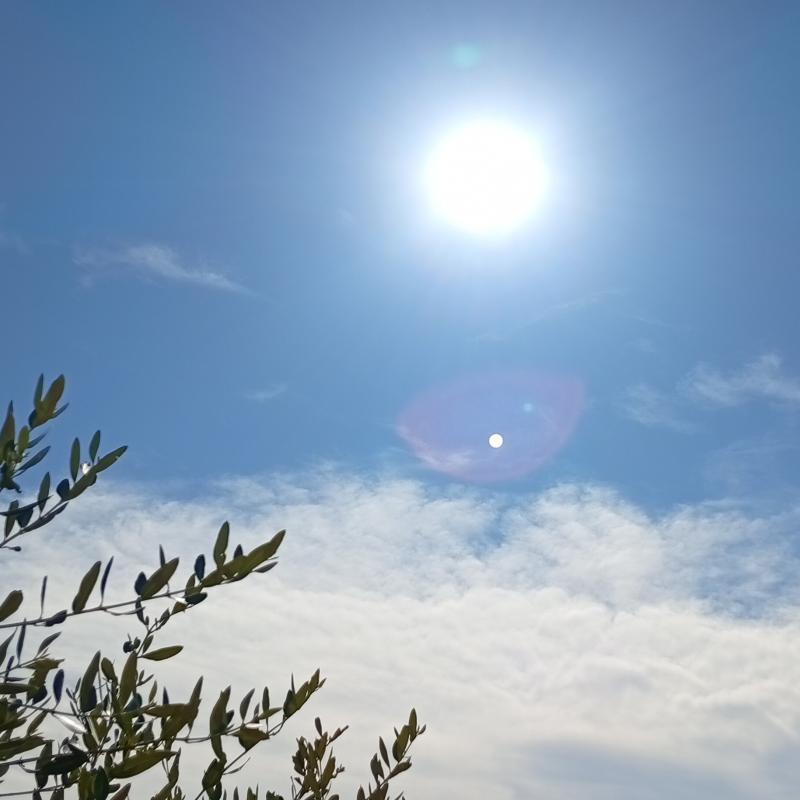Caldissimo sole...