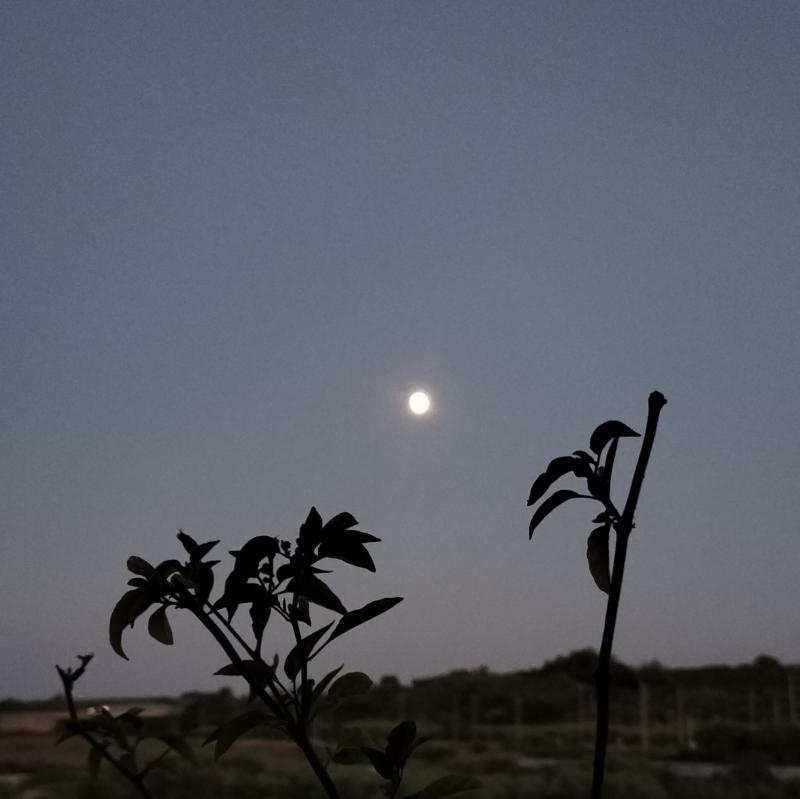 Fotosegnalazione di Vasto
