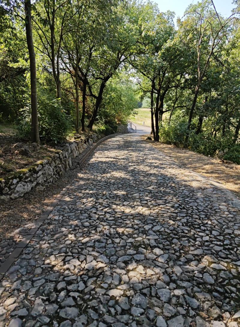 Strada Romana Alonte