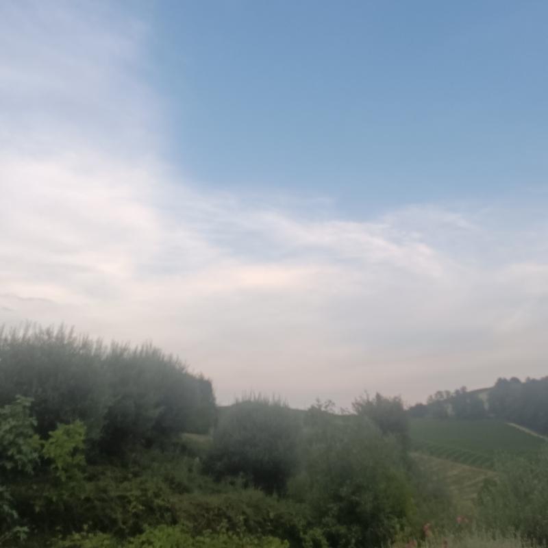 Fotosegnalazione di Castiglione falletto