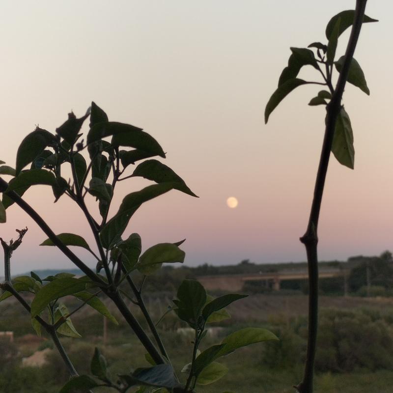 Fotosegnalazione di Vasto