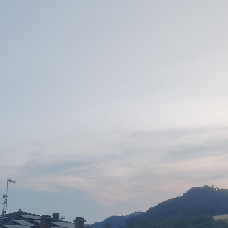 Fotosegnalazione di La vecchia