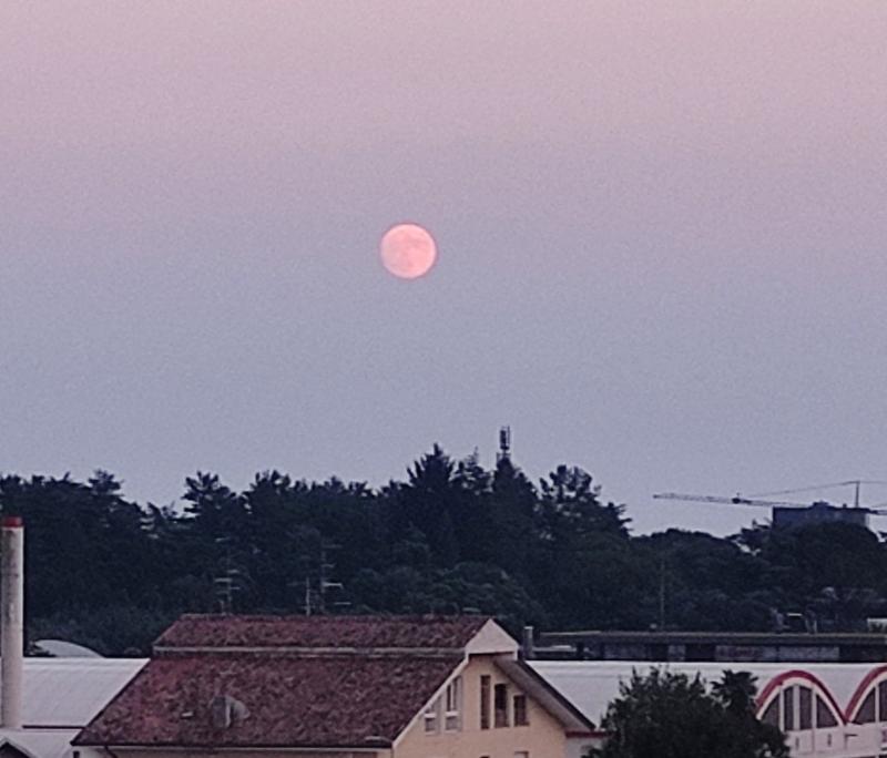 luna delle fragole di giugno a feletto umberto. i miei attimi speciali adry